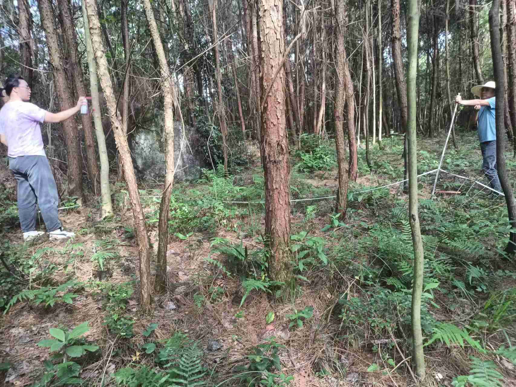 2022��6�¹����п�������Ŀ��ҵ����