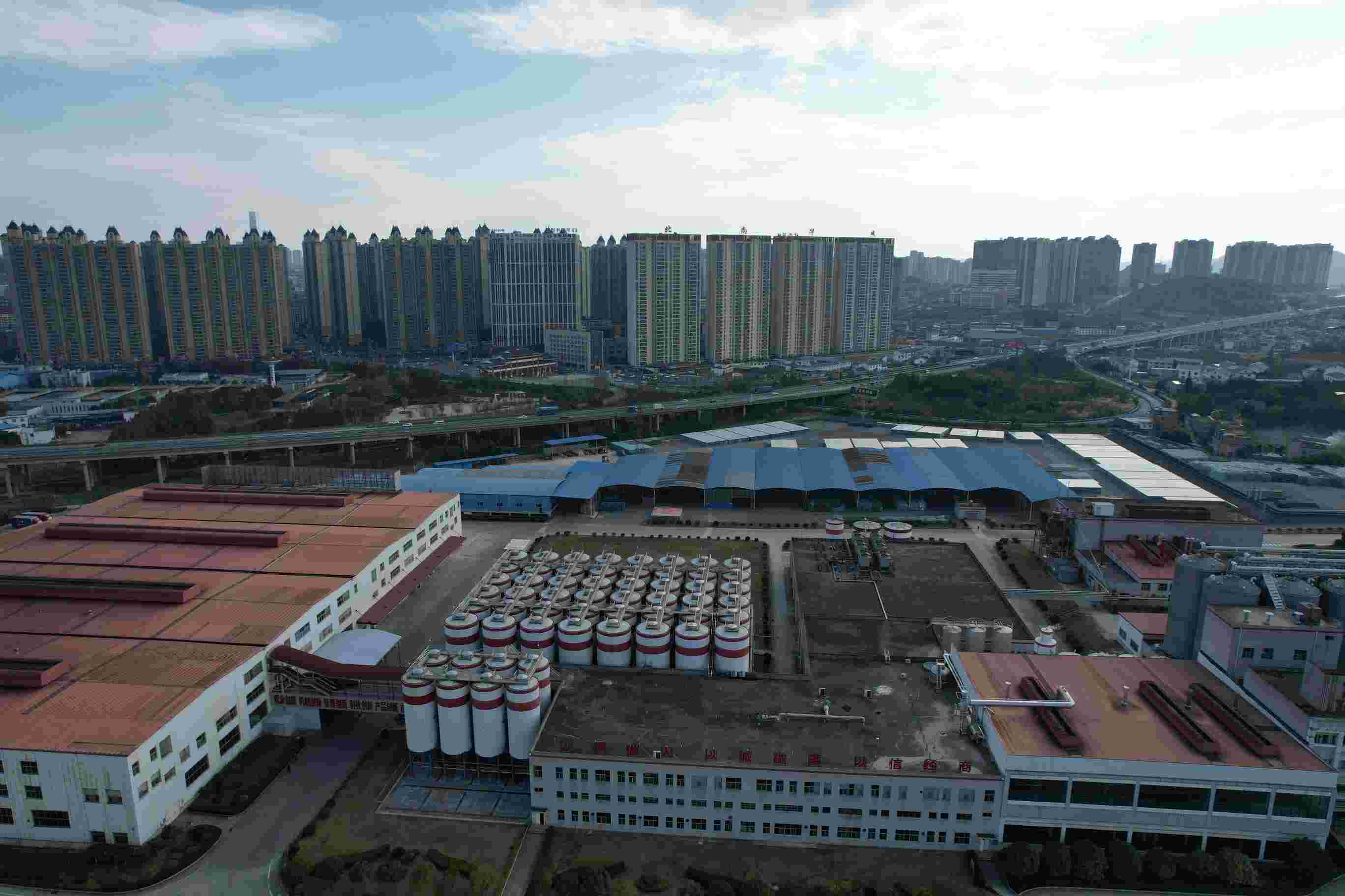 ĳ��������Ӱ������