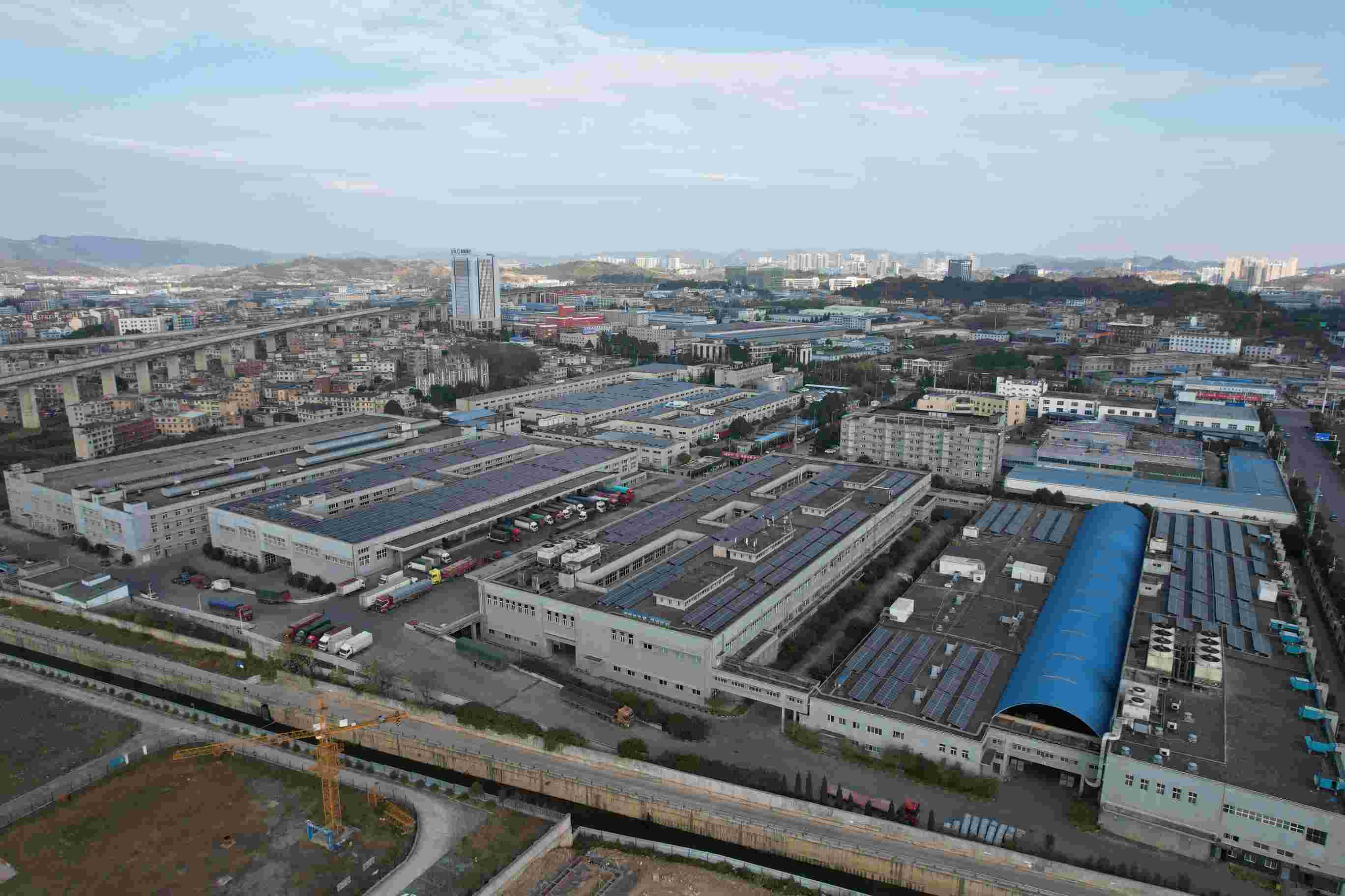 ĳ��ҵ԰����Ӱ������