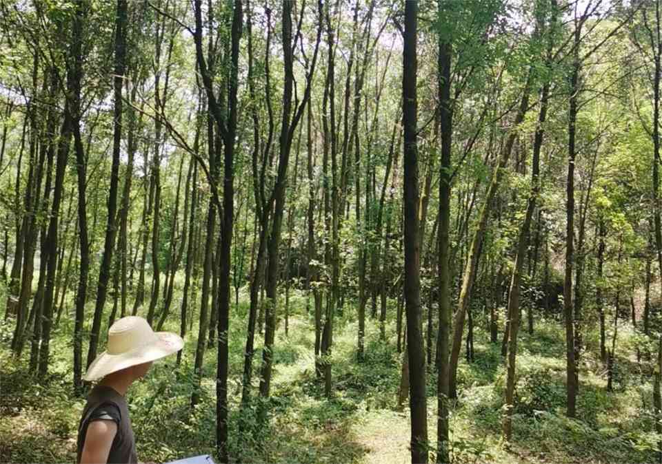 2022��7��6��ͭ�ʵ�����ҵ��Ŀ�������